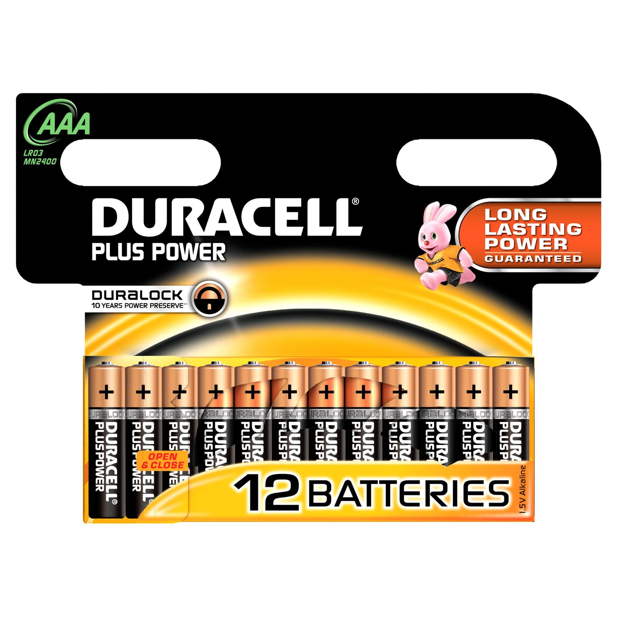 Duracell Plus Power Batteria