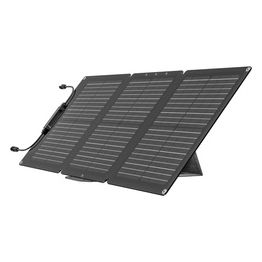 EcoFlow EFSOLAR60 Pannello Solare 60W