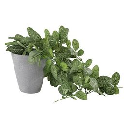 Edera artificiale in Vaso di Cemento 11X35 cm