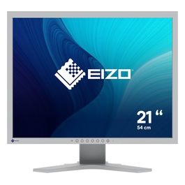 FlexScan S2134 Led Display 21.3" 1600x1200 Pixel Uxga Grigio