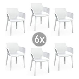 ELISA CHAIR-IMBALLO 6 PEZZI 6x 61x54x79h Smooth Finish Mesh Bianco