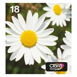 Epson 18 Serie Margherita Cartuccia Originale, Standard, Multipack, 4 Colori, FFP