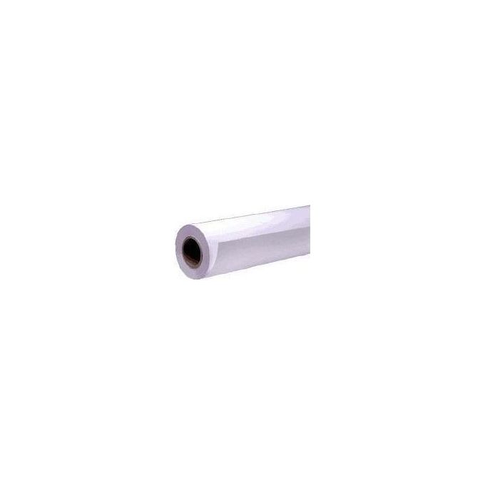 Epson carta speciale rotoli 111.8cm x 25m