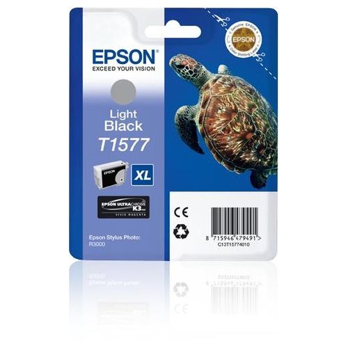 Epson cartuccia inchiostro nero-light r3000