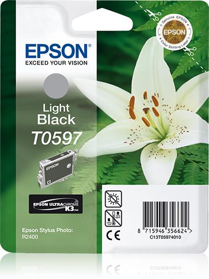 Epson Cartuccia Nero-light R2400