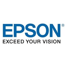 ELPGS02A Occhiali 3D polarizzato per EB-W16SK Passive 3D Projector System