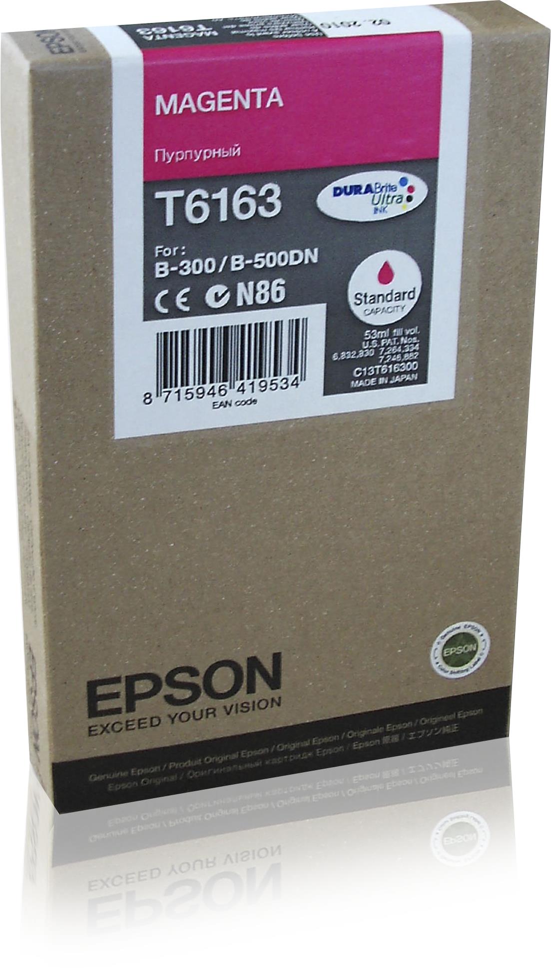 Epson Tanica Inch. Pigmenti