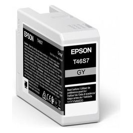 Epson UltraChrome Pro Originale Grigio