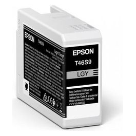 Epson UltraChrome Pro Originale Grigio Chiaro