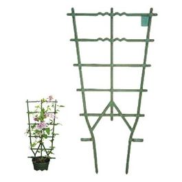 Telaio Vasi Rampicanti Verde 35x90cm