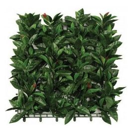 Evergreen X4 Lauro Finta Siepe Red Green Plus 50X50 EG48657