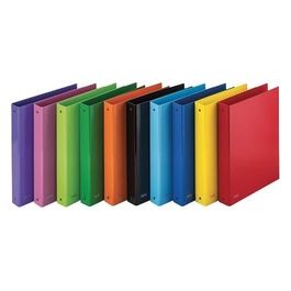 Confezione 10 Raccoglitori Sprint 22x30cm Assortito