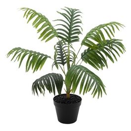 Felce artificiale in Vaso Nero 70 cm
