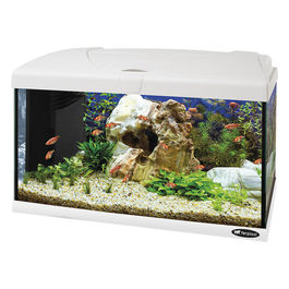 Hydor Acquario CAPRI 60 LED, in Vetro, Lampada Led, Capacità 60 L, Filtro Interno e Riscaldatore, Bianco