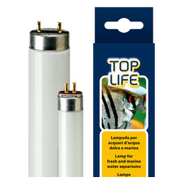 FERPLAST Toplife 14W Lampada T8