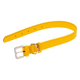 Collare per Cani VOGUE CF25/49, Vera Pelle, Regolabile, Fibbia in Metallo, Giallo