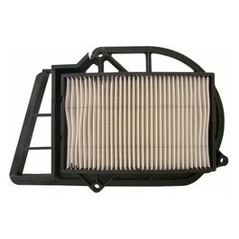 Filtro Aria Variatore Yamaha X-Max/X-City 250 05-