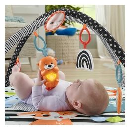 Fisher Price Palestrina Animali 3in1