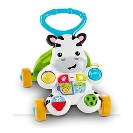 Fisher Price Zebra Primi Passi