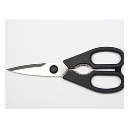 Forbice da cucina smontabili in acciaio inox cm 20