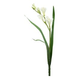 Fresia in Plastica 60 cm Lavanda