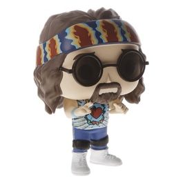 Pop! Wwe Dude Love