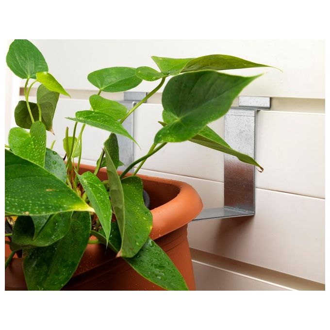 Garofalo Ganci Grandi Per Tuscany E Tuscany Evo