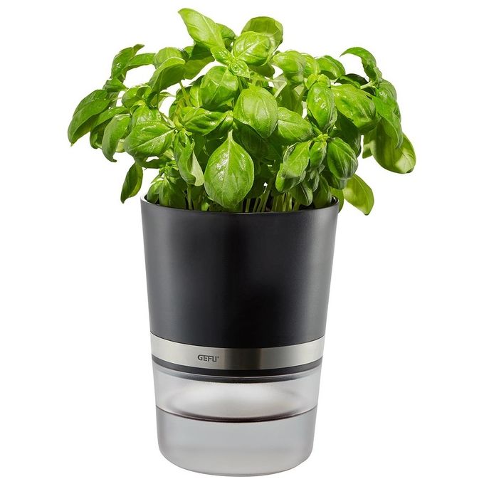 Gefu Botanico Vaso Erbe Aromatiche