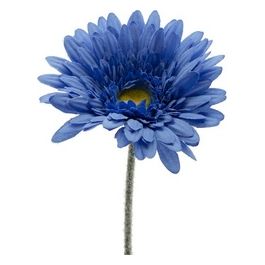 Gerbera in Plastica 64 cm Blu