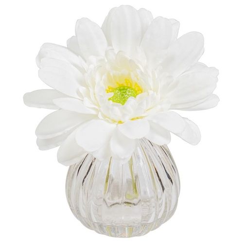 Gerbera in Vaso di Vetro 13X11 cm Bianco