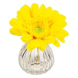 Gerbera in Vaso di Vetro 13X11 cm Giallo