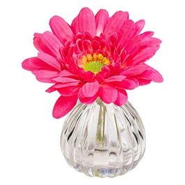 Gerbera in Vaso di Vetro 13X11 cm Fucsia