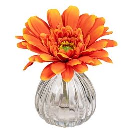 Gerbera in Vaso di Vetro 13X11 cm Arancio