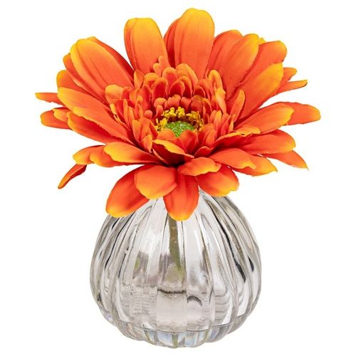 Gerbera in Vaso di Vetro 13X11 cm Arancio
