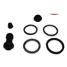 Kit Revisione Pinza Freno Posteriore Beta Rr 50/125 05-08
