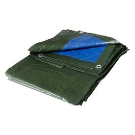 18750 Telo Polietilene Colore Blu/Verde Metri 4X5