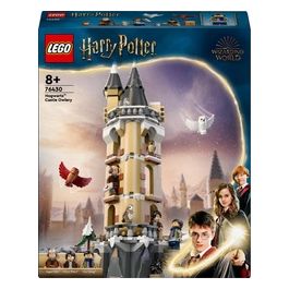 LEGO Harry Potter 76430 Guferia del Castello di Hogwarts, Gioco per Bambini di 8+ Anni con 3 Minifigure e 5 Gufi Giocattolo