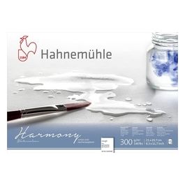 Harmony Acquarello A4 Ruvido 12 Fogli 300gr