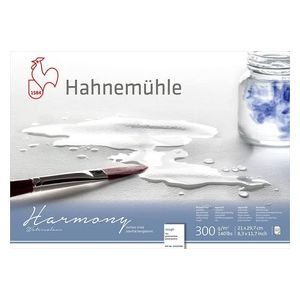 Hahnemuhle Harmony Acquarello A4 Ruvido 12 Fogli 300gr