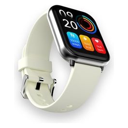 Zone 2 Smartwatch Silver Gray