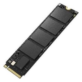 Digital Technology HS-SSD-E3000(STD)/256G Drives allo Stato Solido M.2 256Gb PCI Express 3D TLC