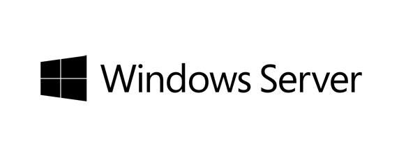 HP Windows Server 2019
