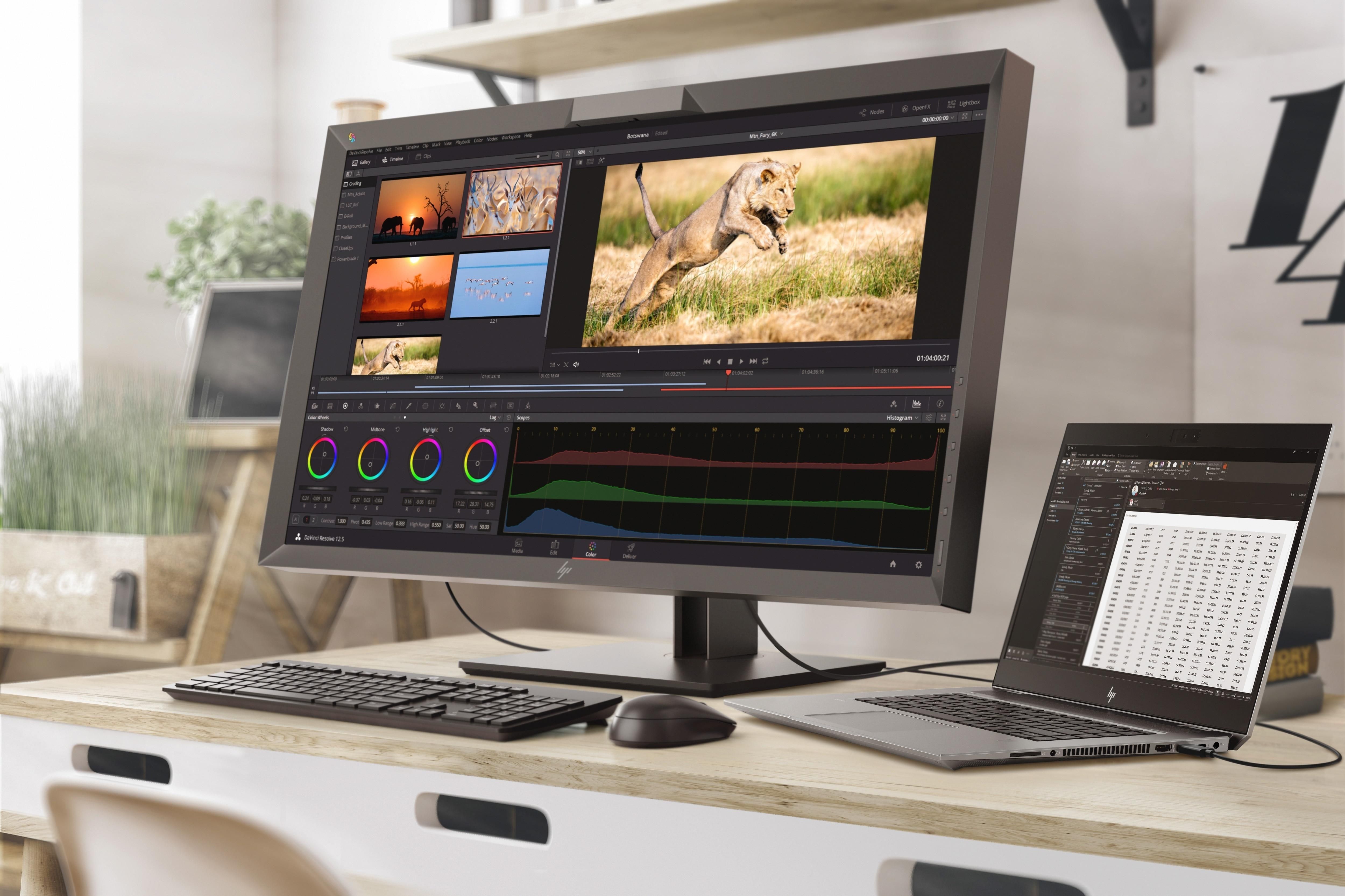 HP Z22n G2 Monitor Piatto per Pc 21,5 