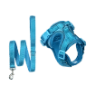 categoria