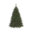 Alberi di Natale e Abeti