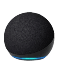 Immagine Home Assistant