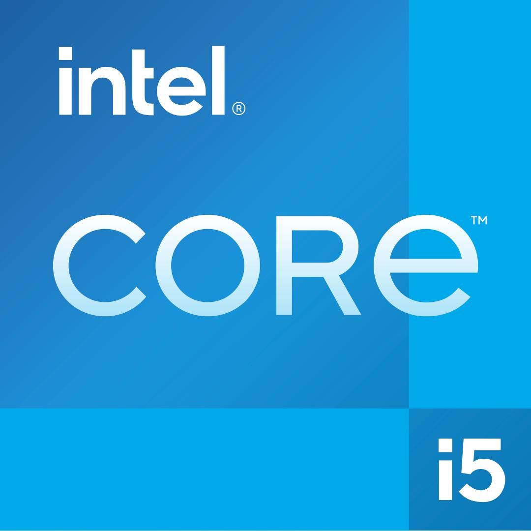 Intel Core I5-12400 Processore