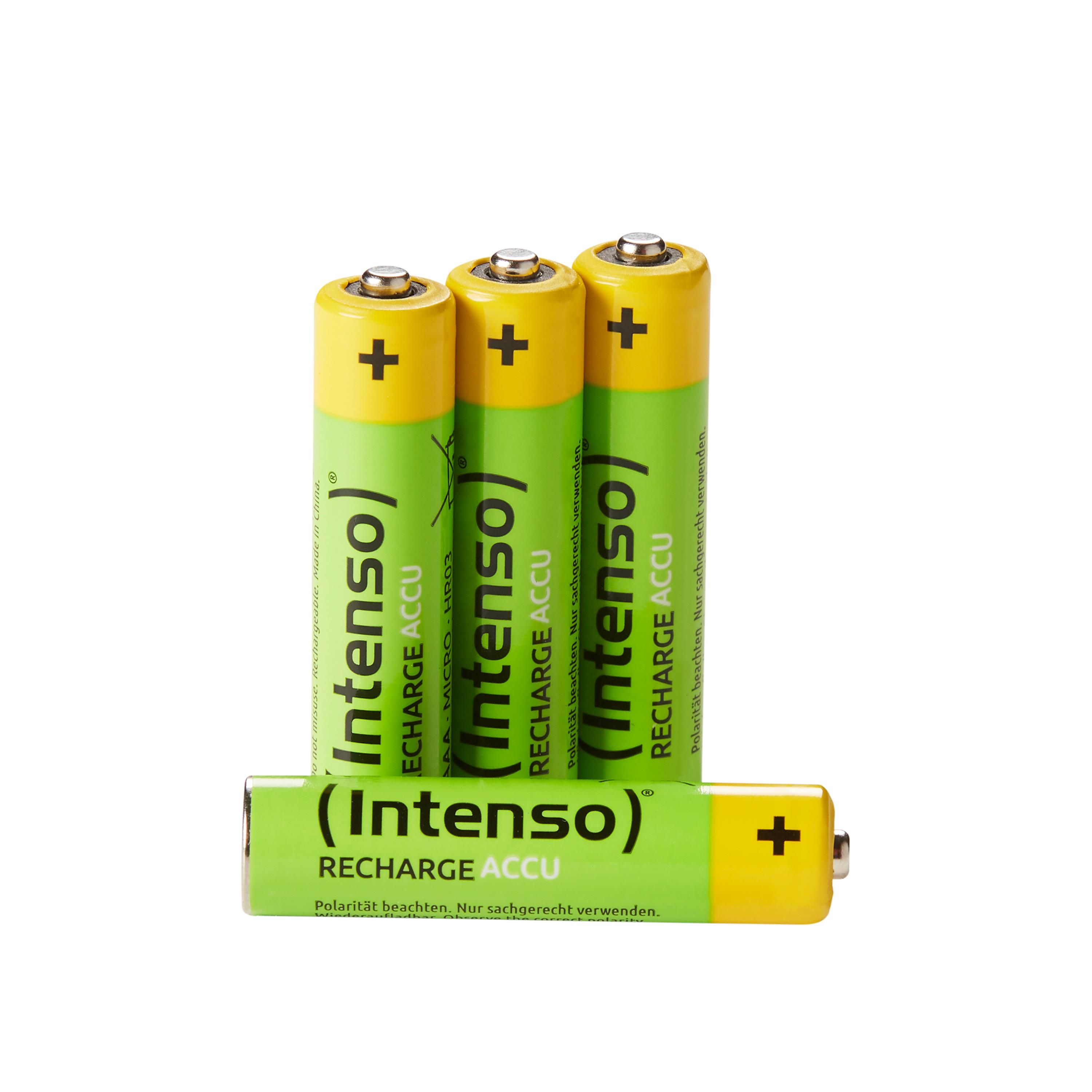 Intenso Energy Eco Batterie