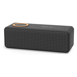 Altoparlante Wireless IR-M9 Charge Nero 20W IPX7 con Caricatore Induttivo