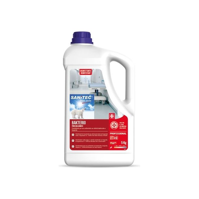 Italchimica Bakterio Disinfettante per Ambienti 5kg Pino Balsamico
